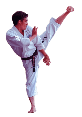 Martial Arts School Cta Bg 1